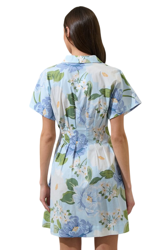 Apparel- Sugarlips Sloane Alix Mini Dress