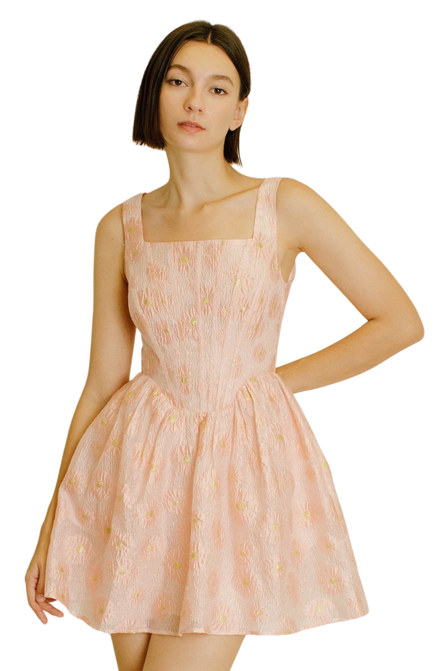 Apparel- Storia Daisy Floral Organaza Mini Dress