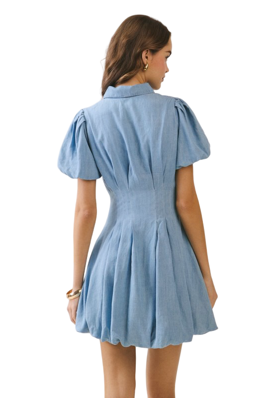 Apparel- TCEC Pleated Fitted Bodice Mini Dress