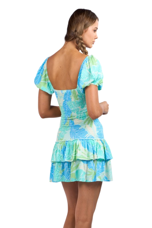Apparel- Sky to Moon Printed Puff Sleeve Layer Mini Dress