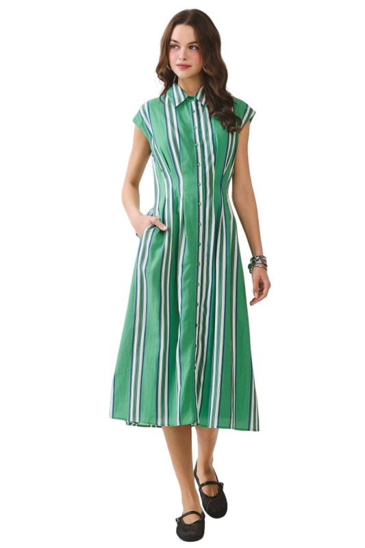 Apparel- TCEC Fitted Bodice Striped Button Down Midi Dress