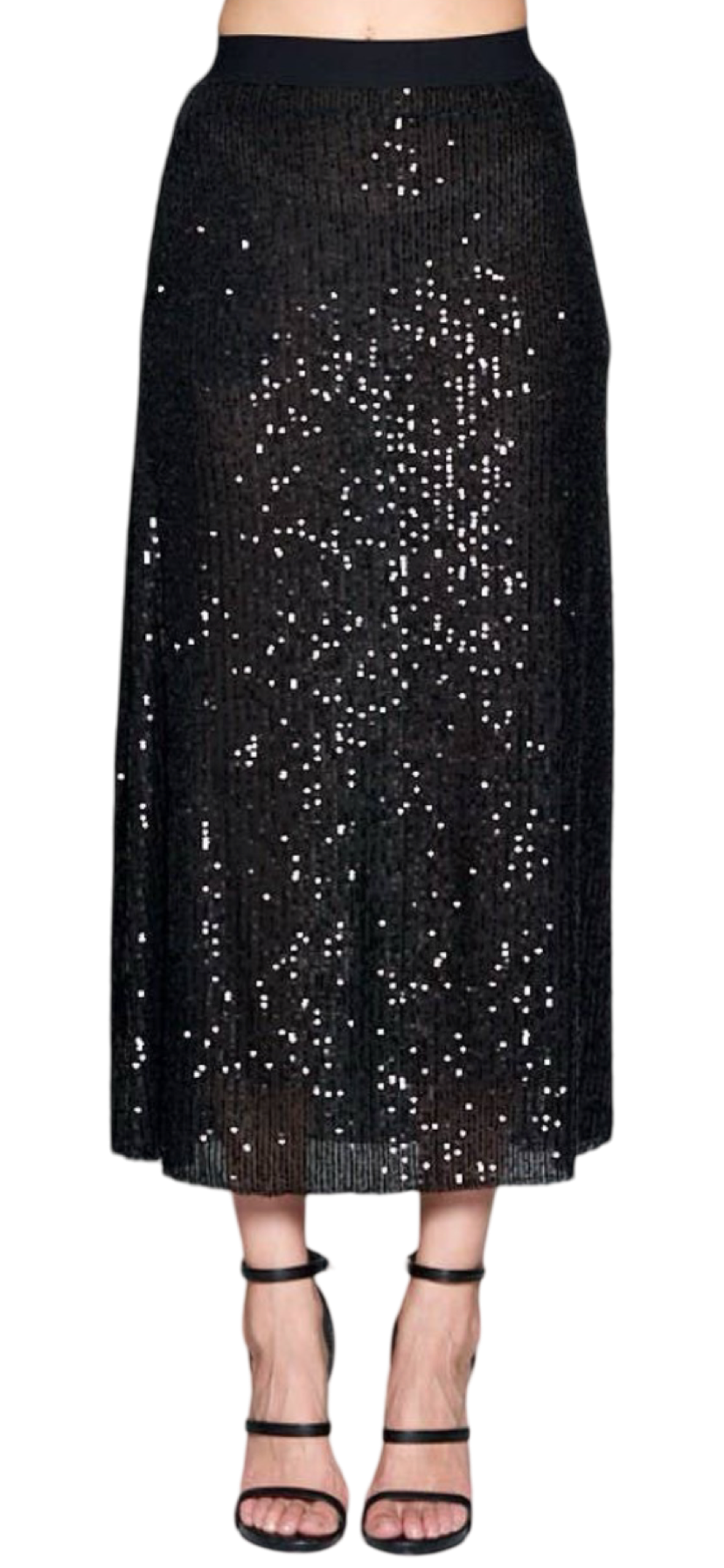 Apparel- Ellison Sequins Midi Skirt