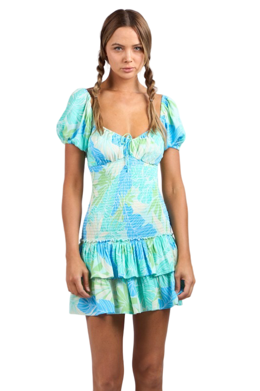 Apparel- Sky to Moon Printed Puff Sleeve Layer Mini Dress