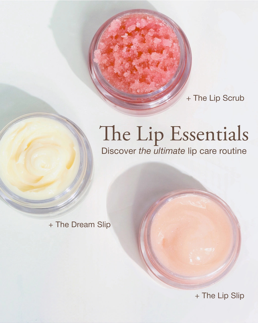 Face- Sara Happ The Essentials- Discovery Kit
