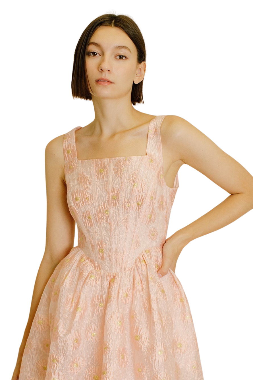 Apparel- Storia Daisy Floral Organaza Mini Dress