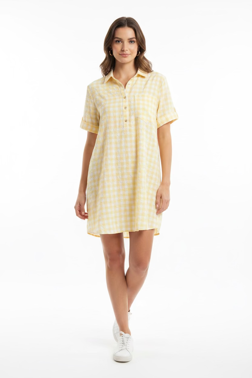 Day+Moon Seersucker Shirt Style Mini Dress