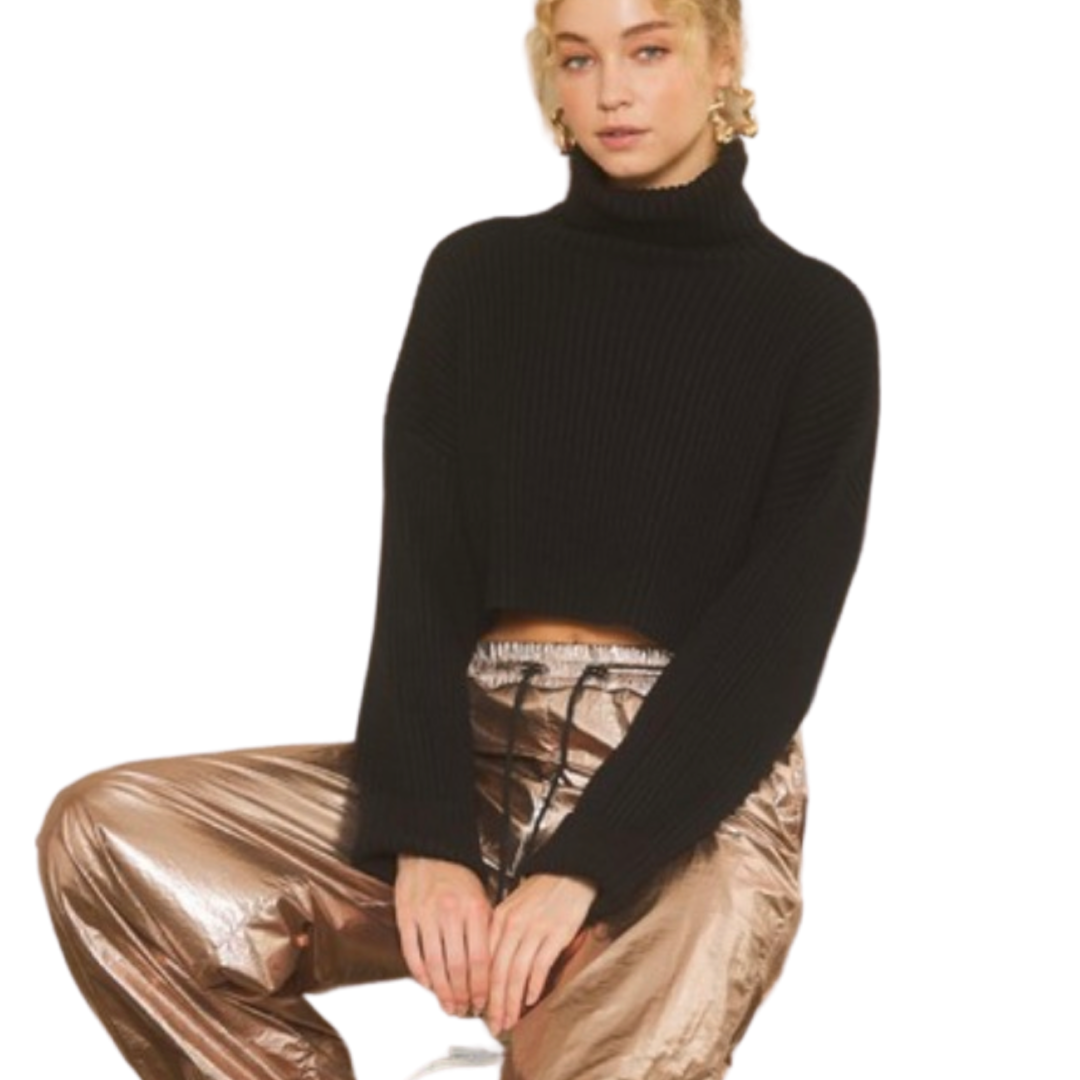 Apparel - Idem Ditto Ribbon Neck Cropped Turtleneck Knit Sweater