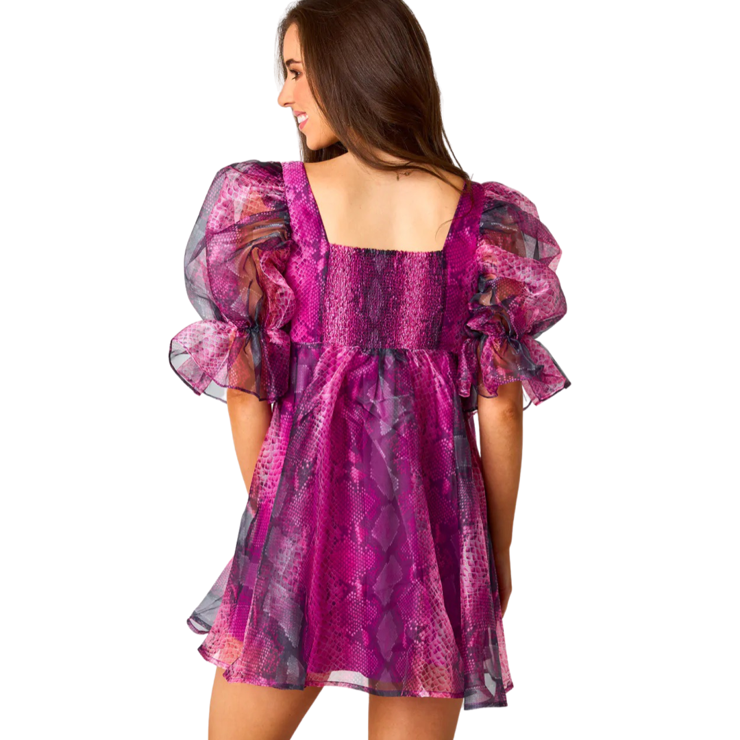 Apparel- Buddy Love Betsy Puff Sleeve Babydoll Dress