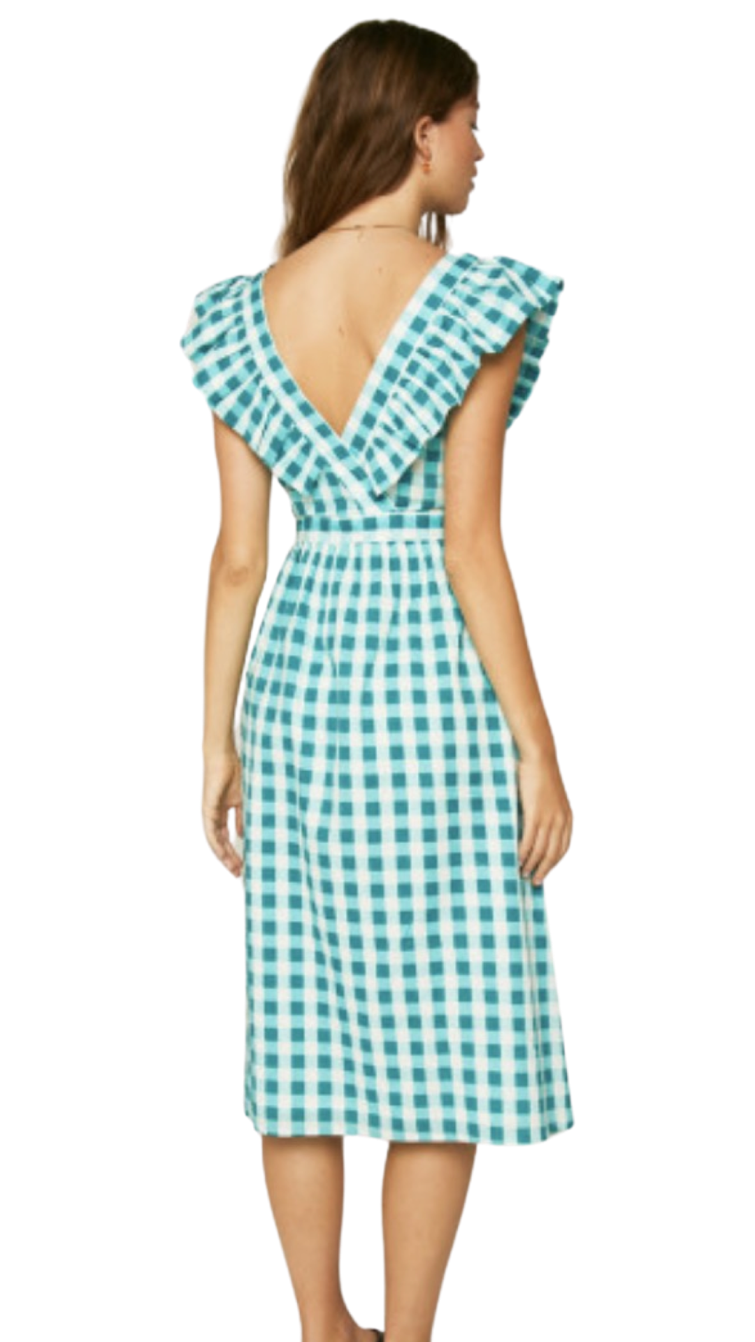 Apparel- Compania Fantastica Blue Gingham Midi Dress