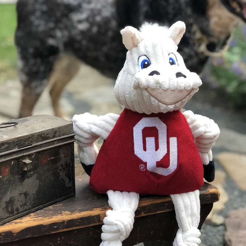 Pets- Huggable Hounds- University of Oklahoma Sooner Knottie
