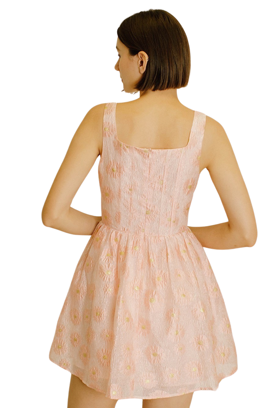 Apparel- Storia Daisy Floral Organaza Mini Dress