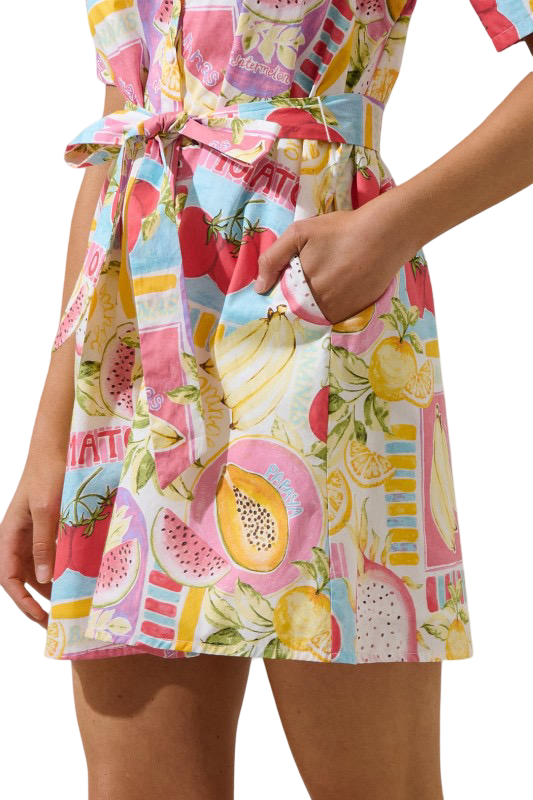 Sugarlips Karesa Button Down Mini Dress Farmers Market
