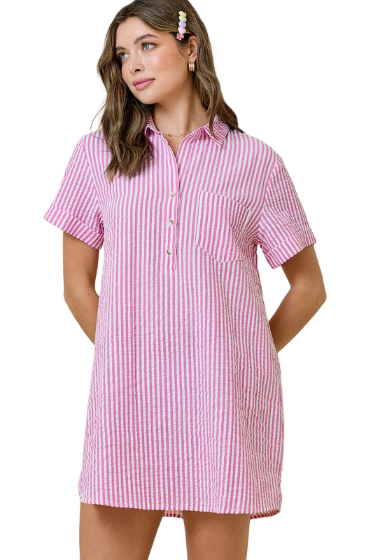 Day+Moon Seersucker Shirt Style Mini Dress Pink/ White / Small