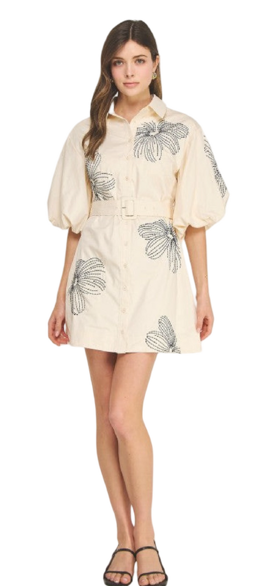 Strut and Bolt Embroidery Ower Shirt Mini Dress
