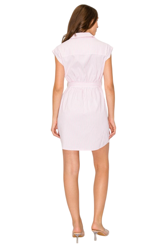 DNA Couture Striped Collard Button Down Mini Dress