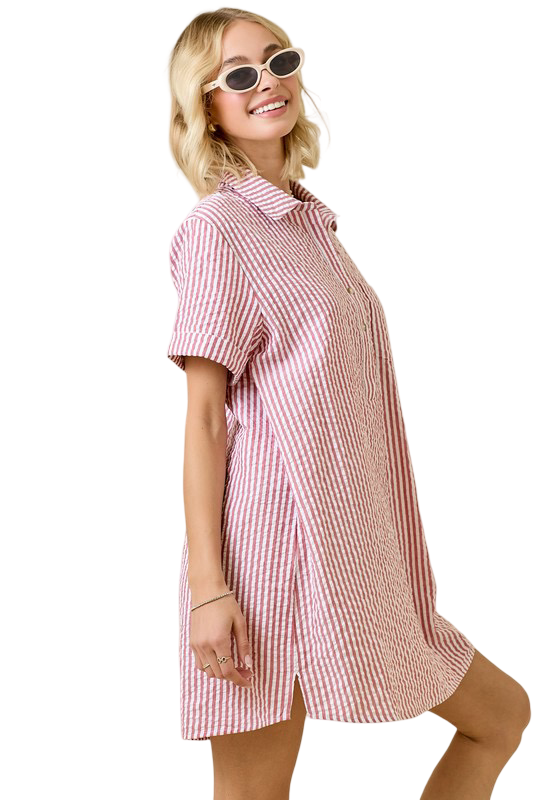 Day+Moon Seersucker Shirt Style Mini Dress