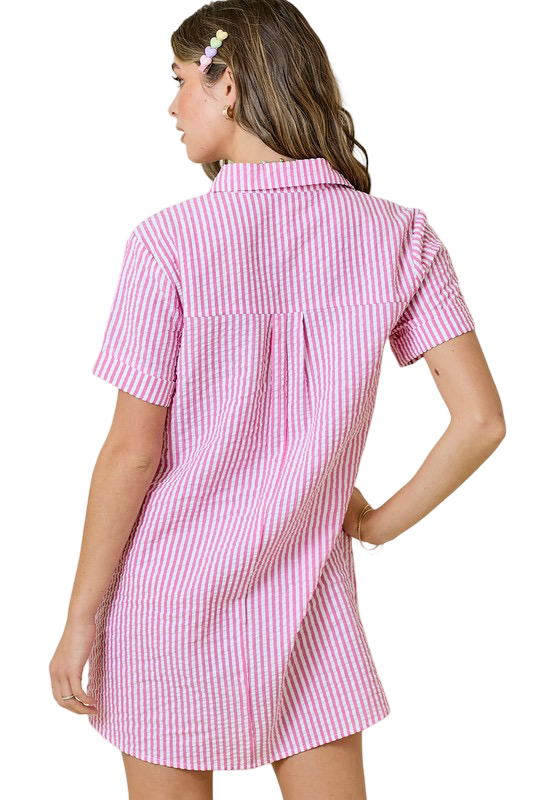 Day+Moon Seersucker Shirt Style Mini Dress