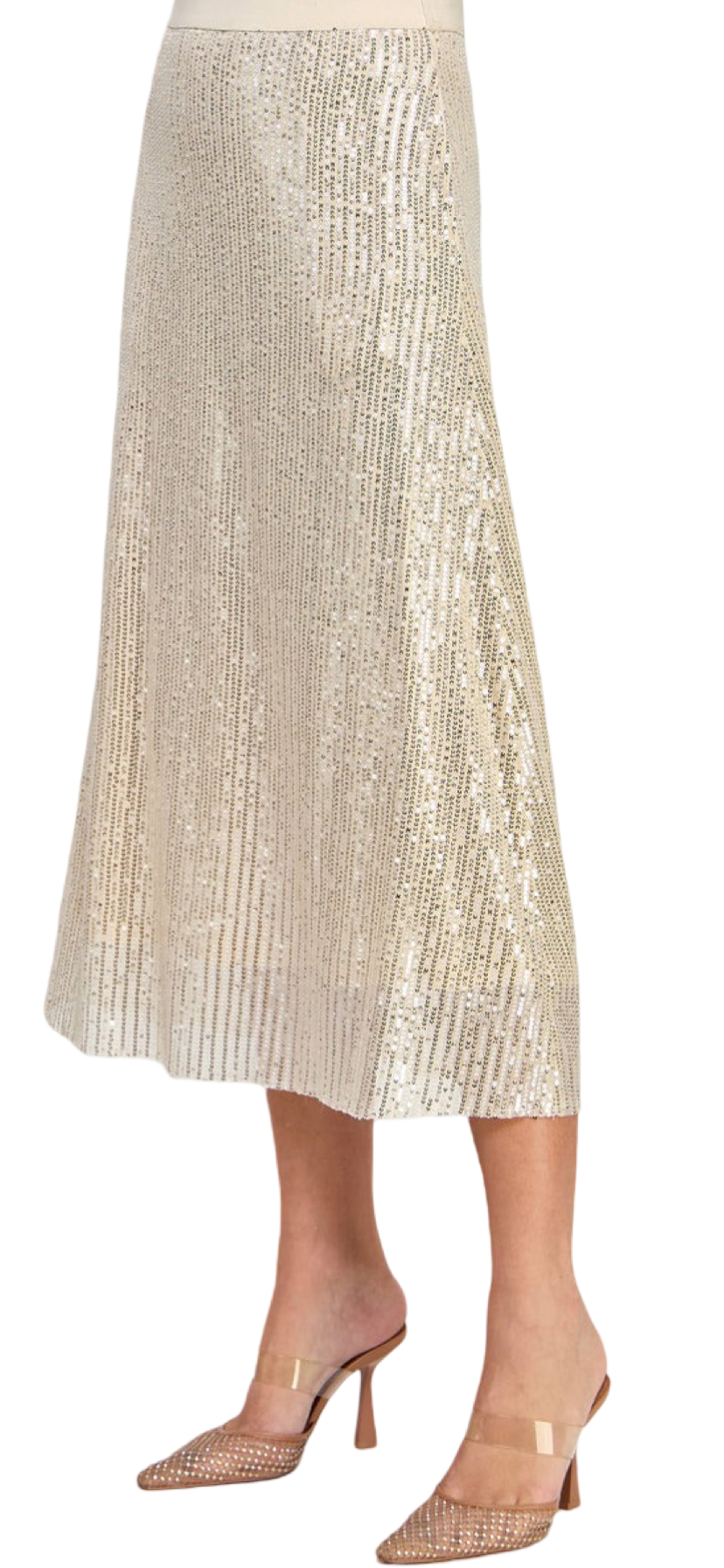 Apparel- Ellison Sequins Midi Skirt