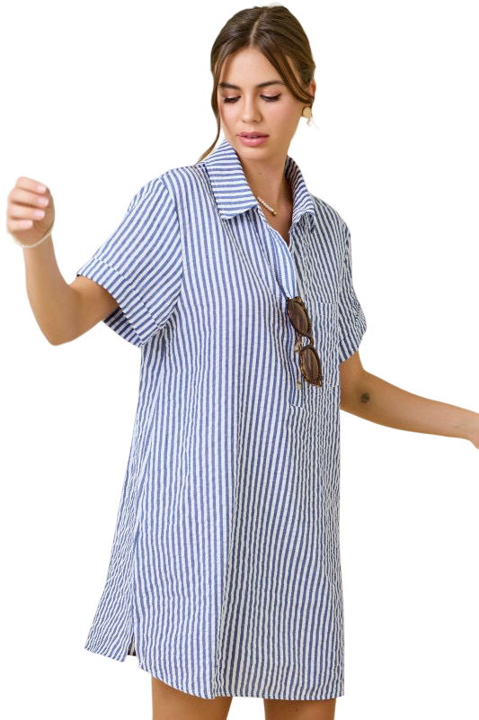Day+Moon Seersucker Shirt Style Mini Dress