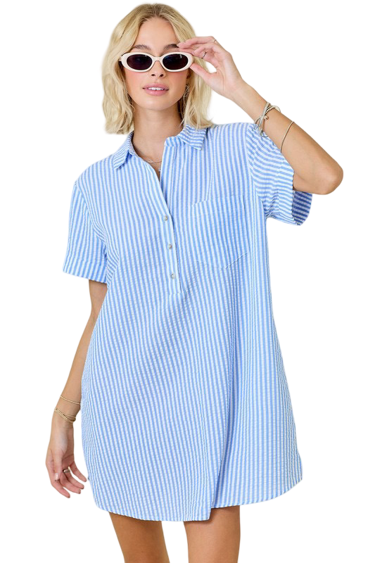 Day+Moon Seersucker Shirt Style Mini Dress