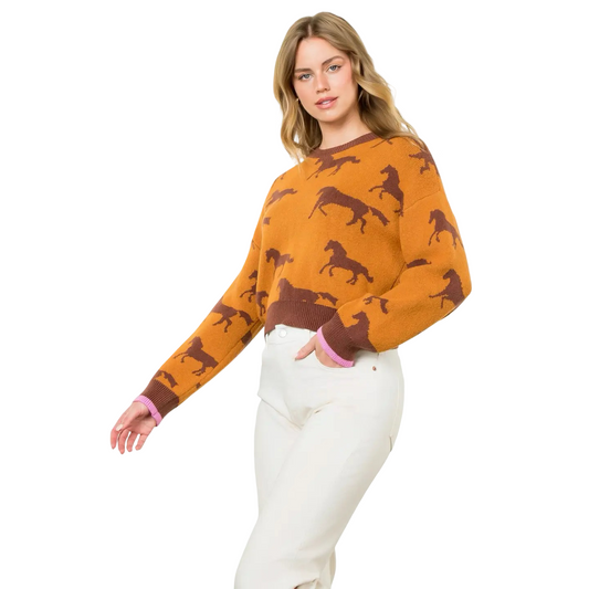 Apparel- THML Horse Print Crew Knit Sweater Top