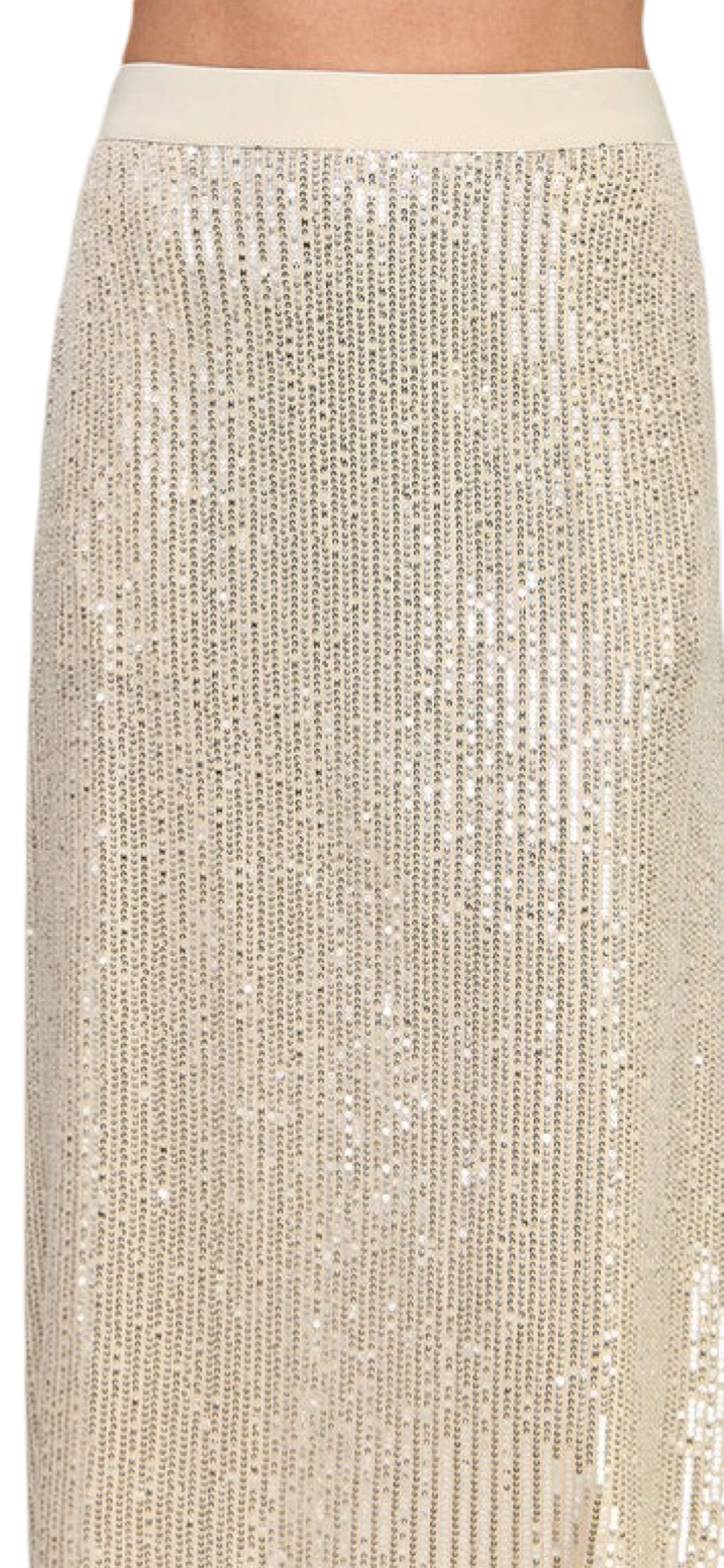 Apparel- Ellison Sequins Midi Skirt