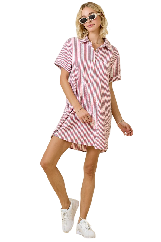 Day+Moon Seersucker Shirt Style Mini Dress