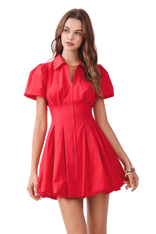 Apparel- TCEC Zipper Front Button Sleeve Mini Dress