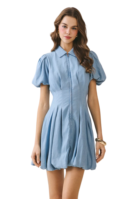 Apparel- TCEC Pleated Fitted Bodice Mini Dress
