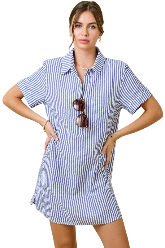 Day+Moon Seersucker Shirt Style Mini Dress