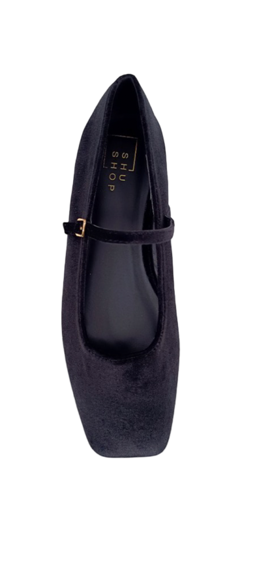 Shoes- Shu Shop Addison Velvet Ballerina Flat