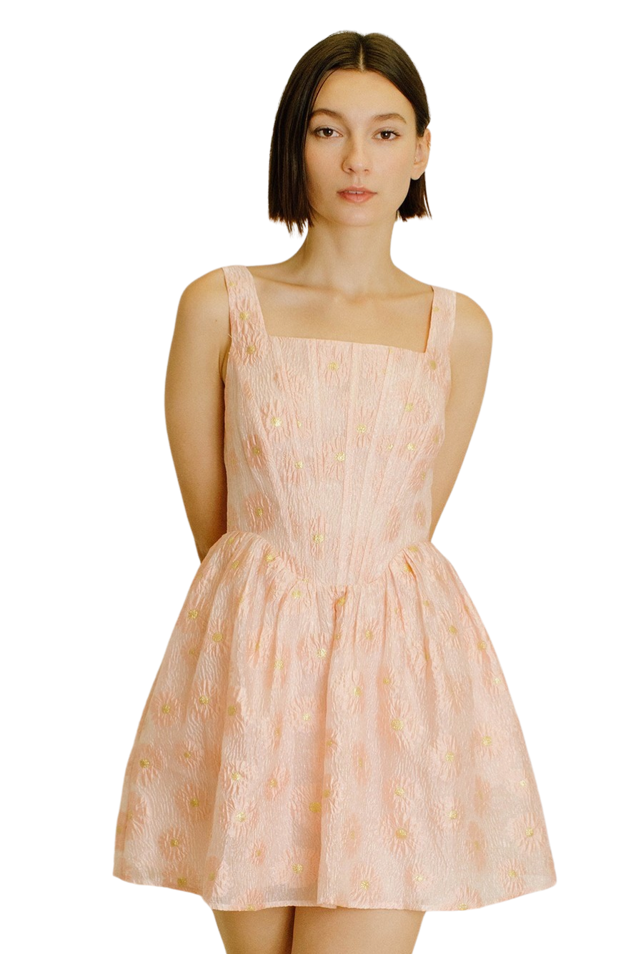 Apparel- Storia Daisy Floral Organaza Mini Dress