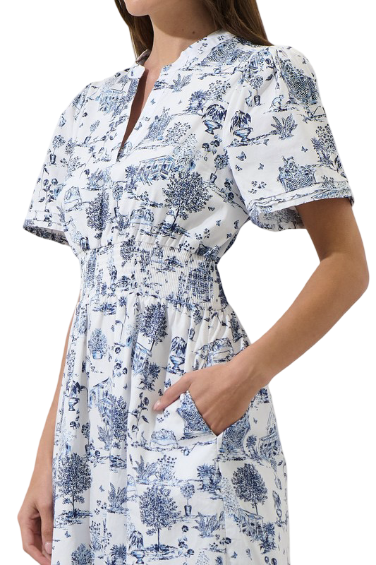 Sugarlips Renzo Toile Poplin Maxi Dress