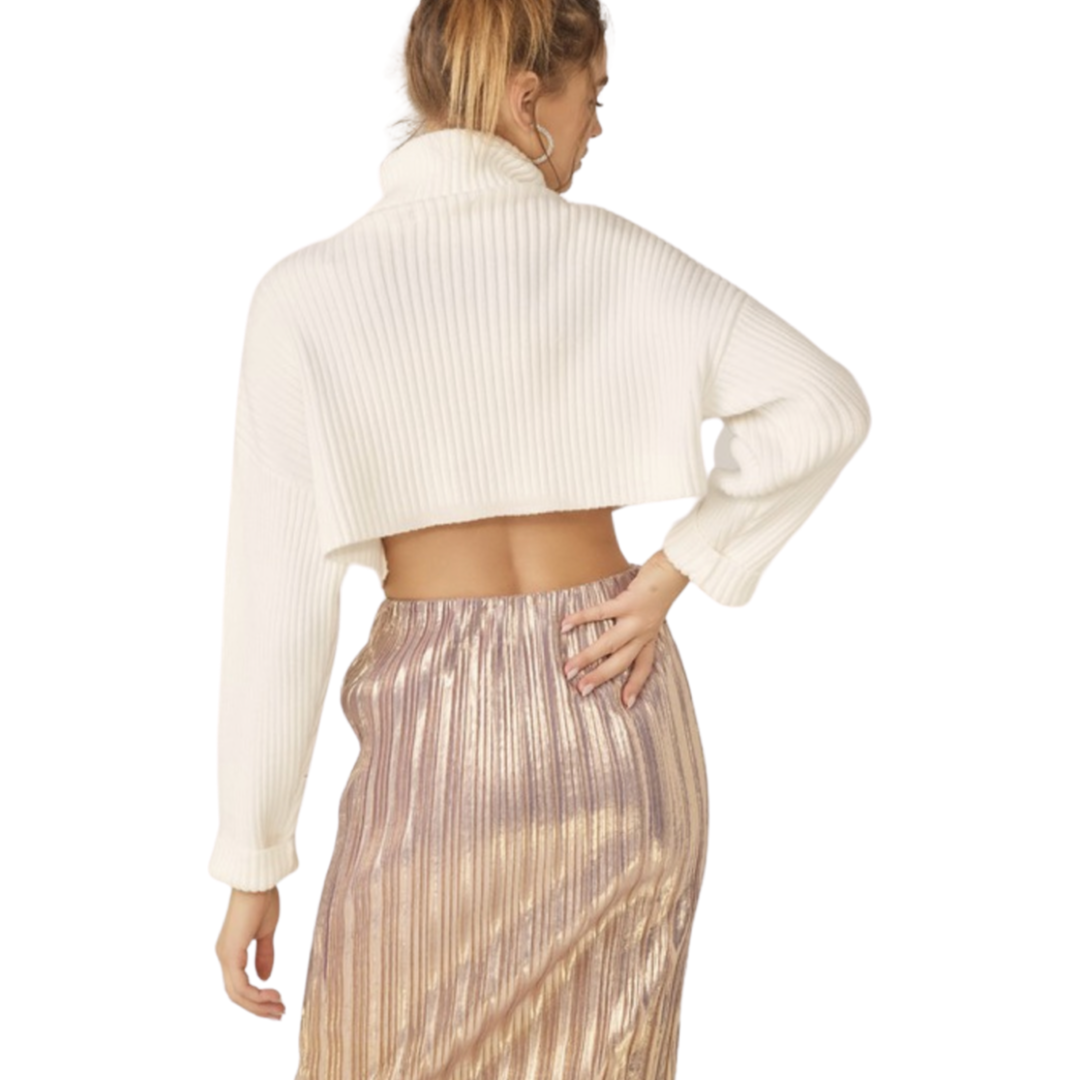 Apparel- Idem Ditto Pleated Shimmer Midi Skirt
