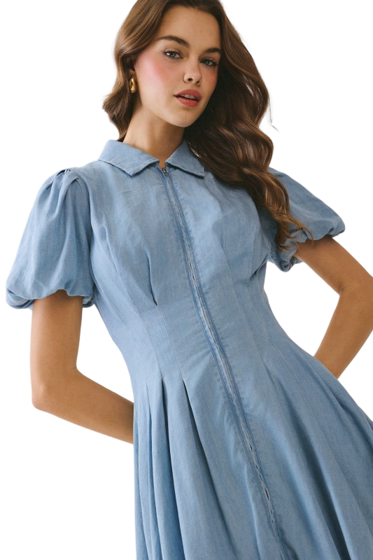 Apparel- TCEC Pleated Fitted Bodice Mini Dress