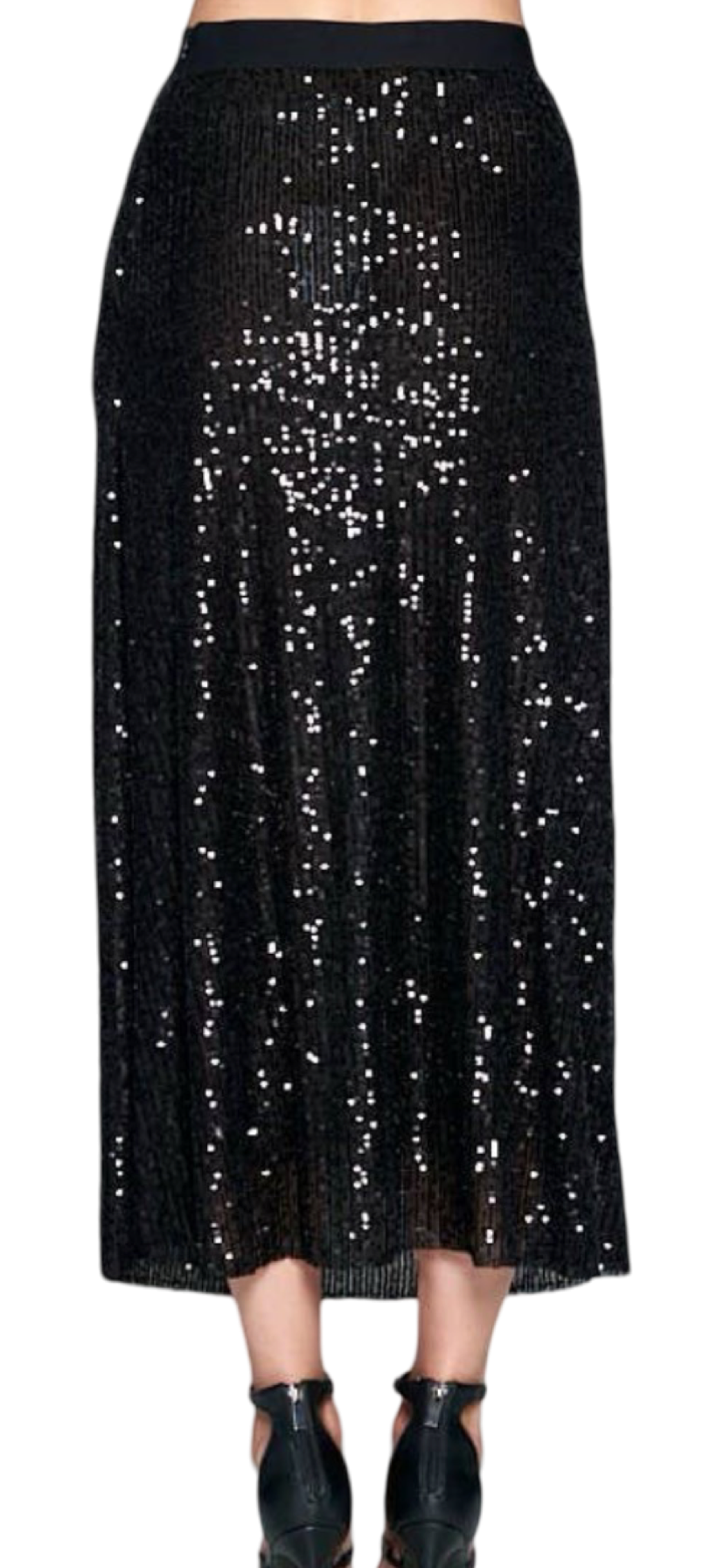 Apparel- Ellison Sequins Midi Skirt