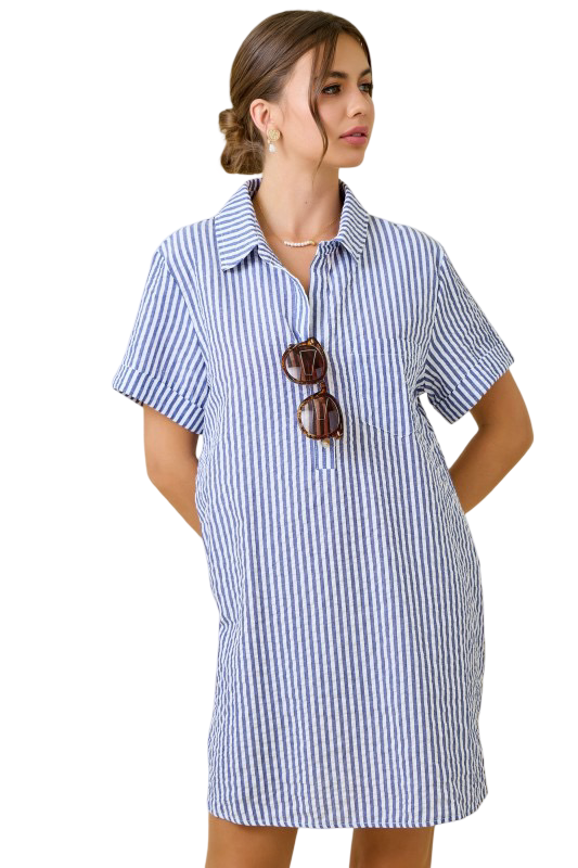 Day+Moon Seersucker Shirt Style Mini Dress