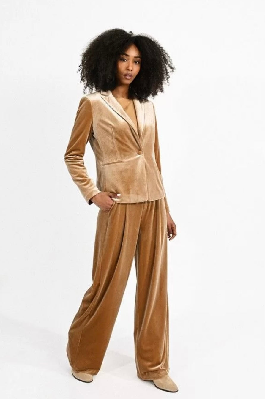 Apparel- Molly Bracken Velvet Blazer