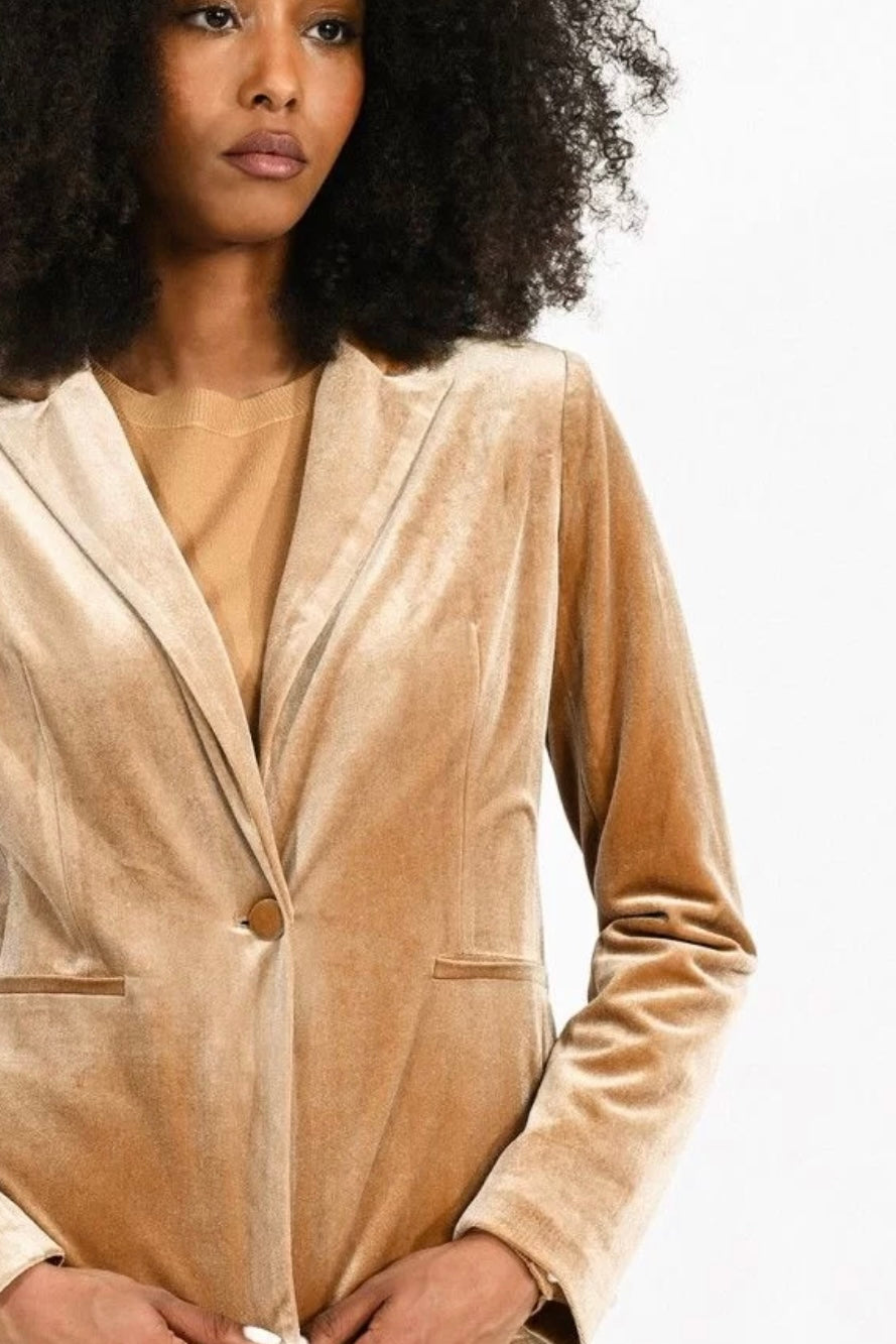 Apparel- Molly Bracken Velvet Blazer