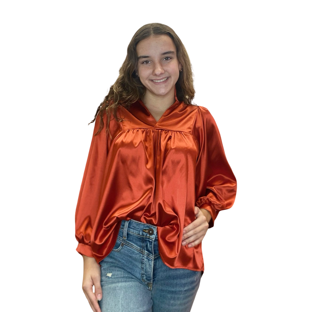 Apparel- Adrienne Morgan High Collar V Neck Top