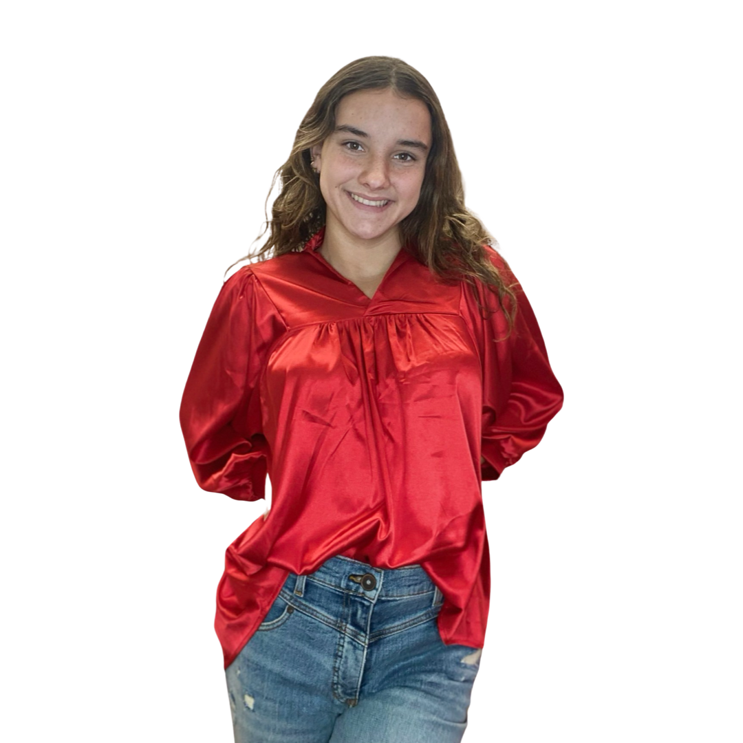 Apparel- Adrienne Morgan High Collar V Neck Top