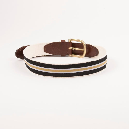 Belts- Preppy Striped Men’s Belt