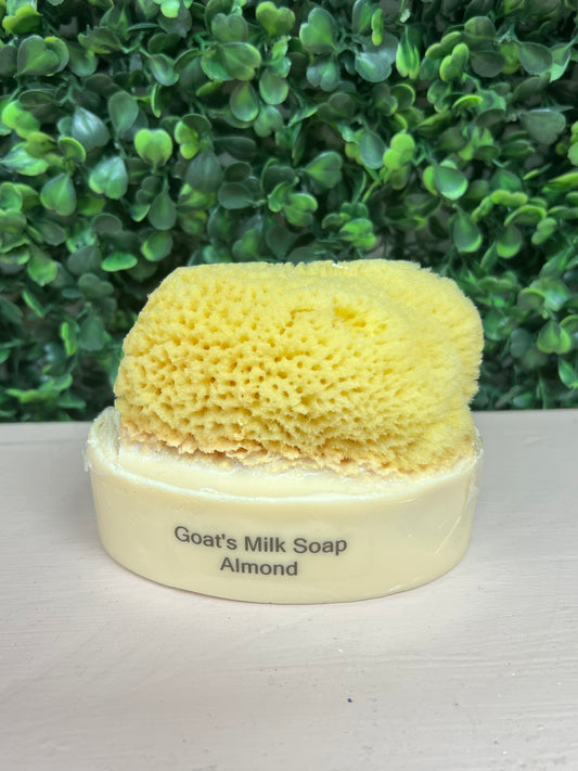 Body- Goats Milk & Olive Oil Soap w/embedded Natural Sea Sponge