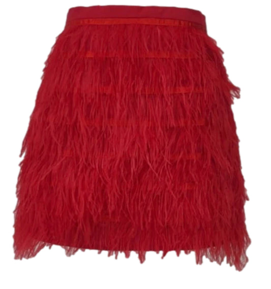Apparel- Queen of Sparkles Bright Red Feather Skirt